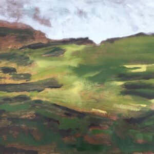 Dartmoor VII
